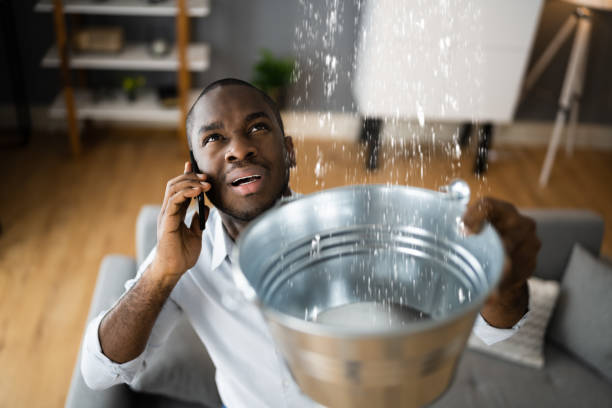 Best Water damage mitigation services  in English, IN