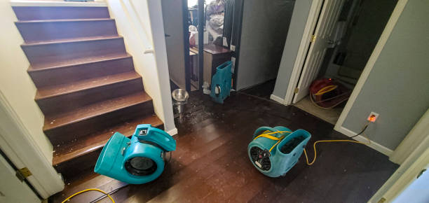  English, IN Water damage restoration Pros