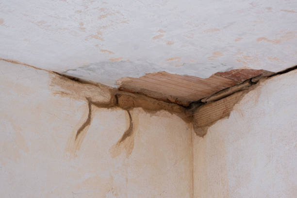 Best Flood damage cleanup  in English, IN