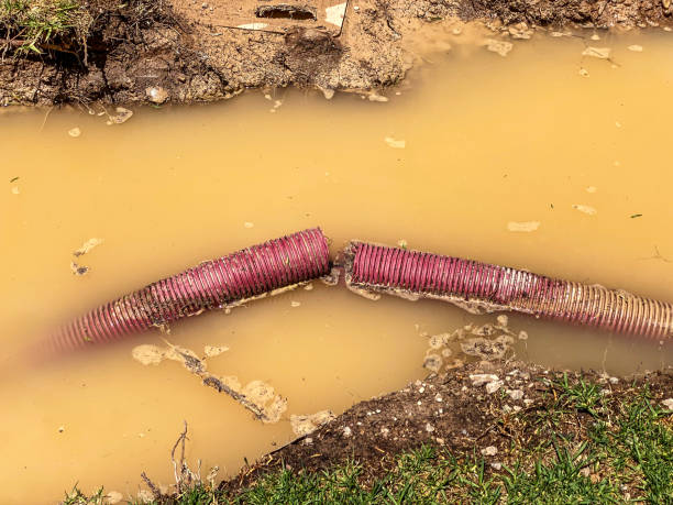 Sewage cleanup and water damage restoration in IN