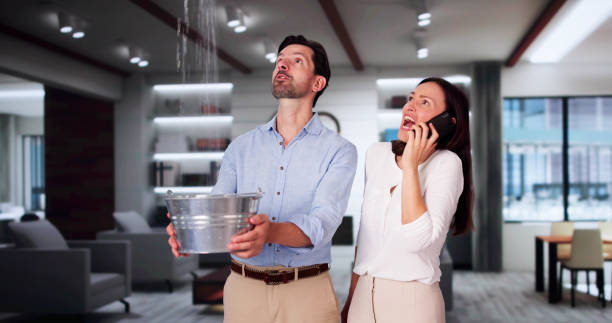 Best Emergency water damage restoration  in English, IN